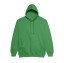 COLLEGE HOODIE