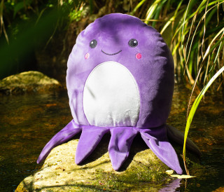 SQUIDGY OCTOPUS