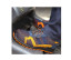 HARDY SAFETY TRAINER
