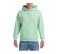 HEAVY BLEND ADULT HOODED SWEATSHIRT