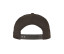 FLEXFIT 110 ORGANIC CAP