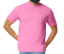 SOFTSTYLE ADULT T-SHIRT